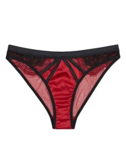 PPB3097 Playful Promises Tasmin Brazilian Brief - PPB3097 Ruby Lace