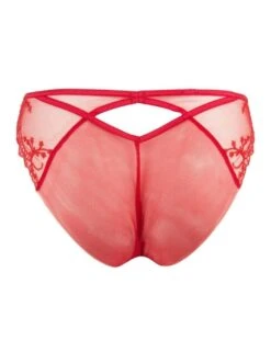 ACG0723 Lise Charmel Charme Futur Italian Brief - ACG0723 Rouge