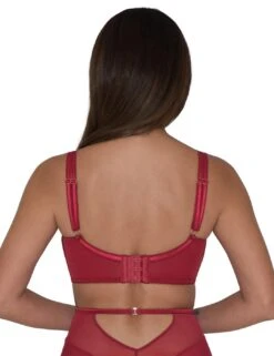 ST012100 Scantilly By Curvy Kate Fallen Angel Balcony Bra - ST012100 Garnet Red