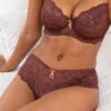 1503 Pour Moi Amour Shorty Brief - 1503 Truffle