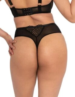 ST019200 Scantilly By Curvy Kate Authority Thong - ST019200 Black
