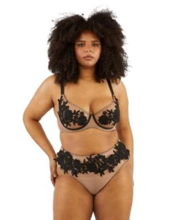 PPGHW086 Playful Promises Alaina Mesh And Black Applique Brief - PPGHW086 Illusion