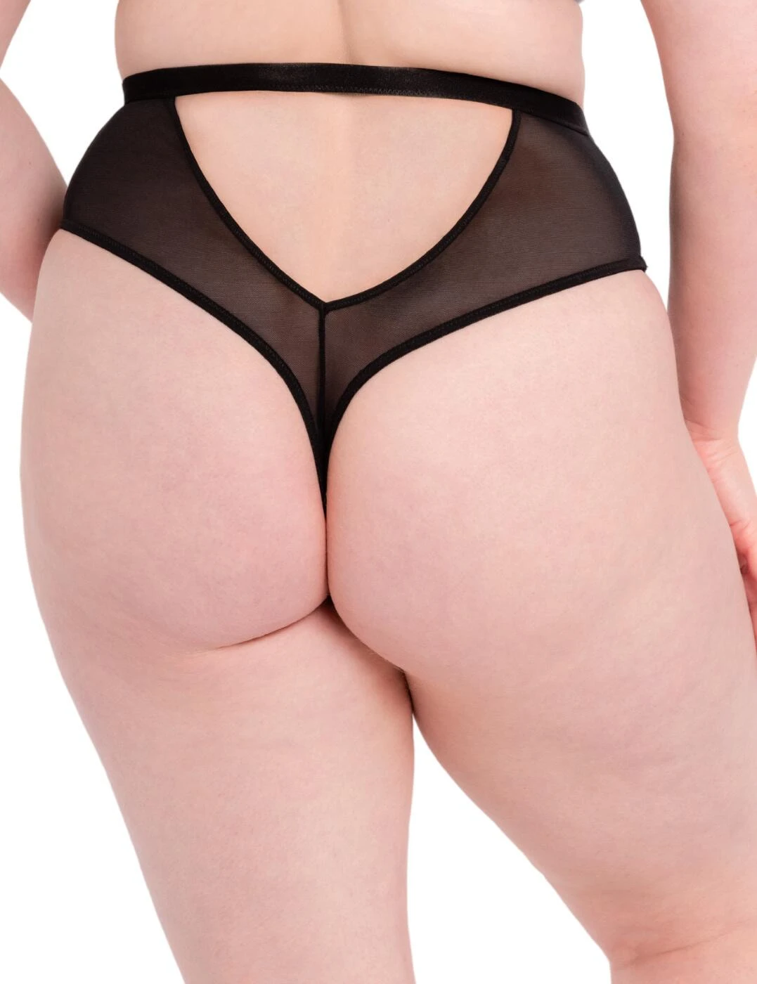ST015212 Scantilly By Curvy Kate Buckle Up Thong - ST015212 Black