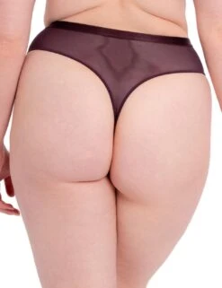 ST020212 Scantilly By Curvy Kate Lovers Knot Thong - ST020212 Fig/Latte