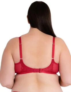 CK044100 Curvy Kate Lace Daze Balcony Bra - CK044100 Lipstick Red