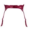 ACH4713 Lise Charmel Sublime En Dentelle Suspender - ACH4713 Fuchsia