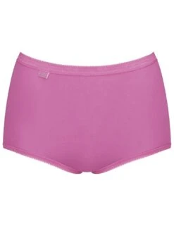 10105593 Sloggi Basic+ Maxi Brief 3 Pack - 10105593 Purple Combination