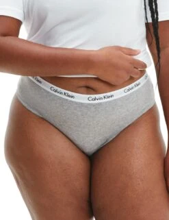 000QD3588E Calvin Klein Carousel Bikini Brief 3 Pack - 000QD3588E Pink/Grey/Rainer Stripe Sliver